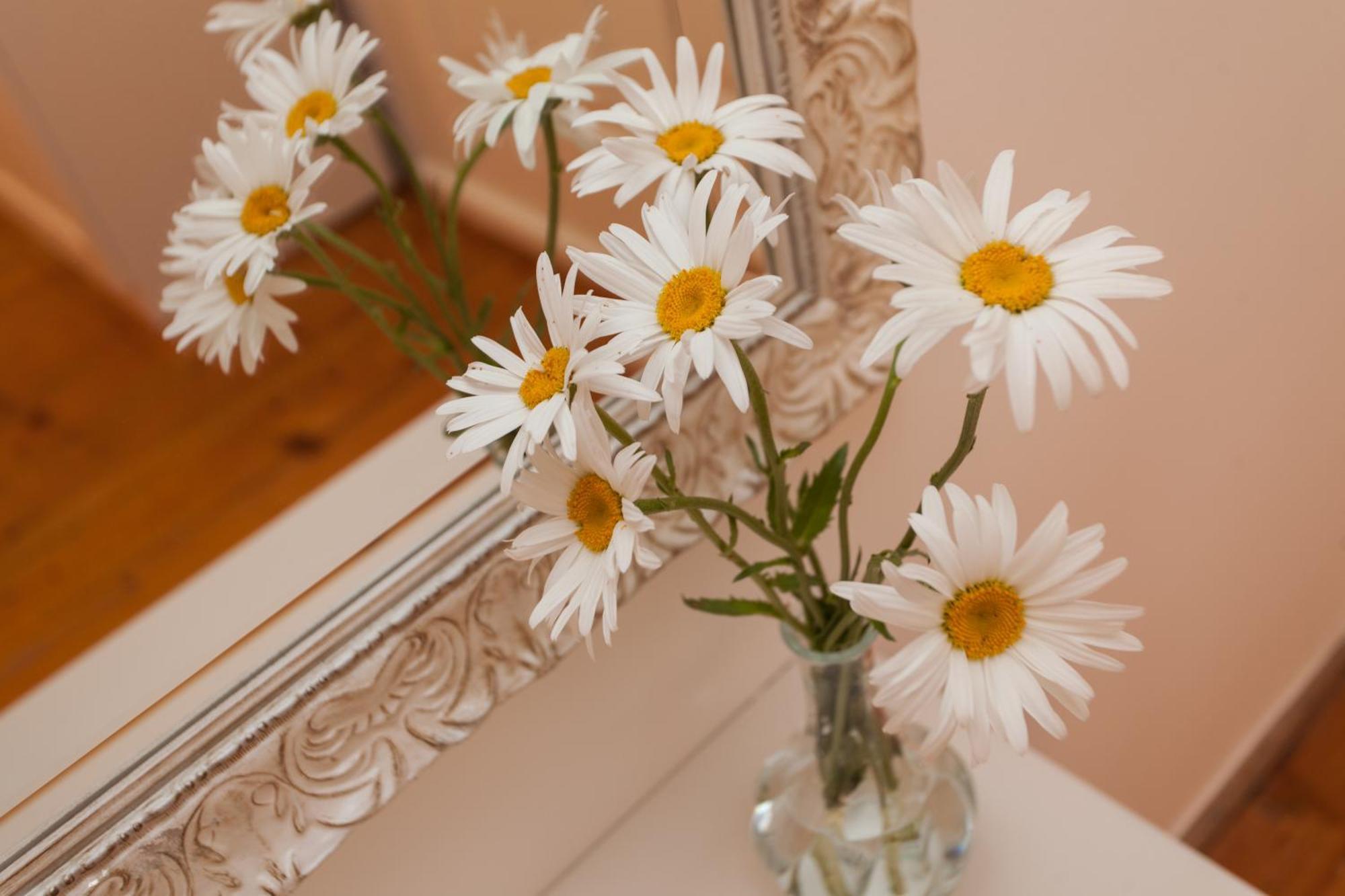 Guesthouse Casa Vittoria Rovinj Zewnętrze zdjęcie